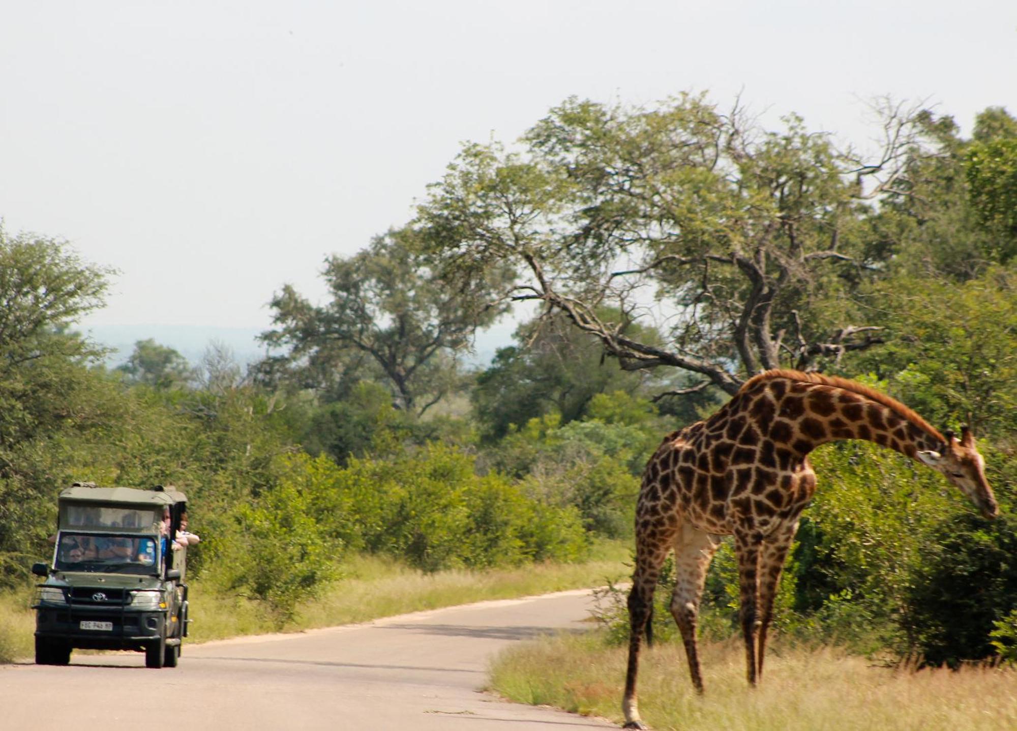 Aha Skukuza Safari Lodge Εξωτερικό φωτογραφία