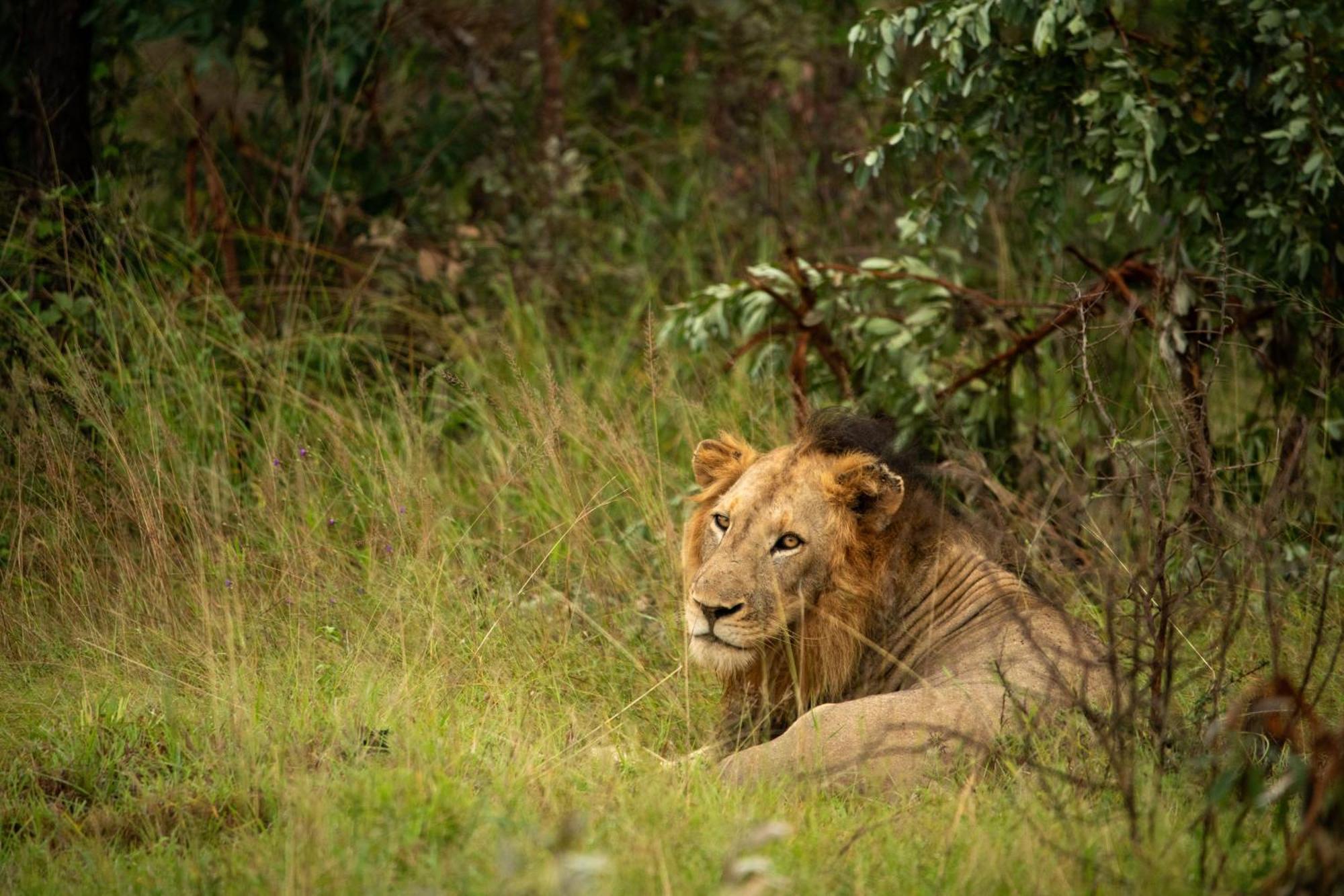 Aha Skukuza Safari Lodge Εξωτερικό φωτογραφία