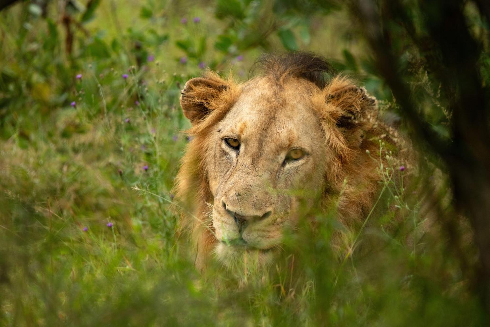 Aha Skukuza Safari Lodge Εξωτερικό φωτογραφία